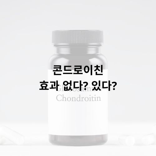 콘드로이친 효과 없다