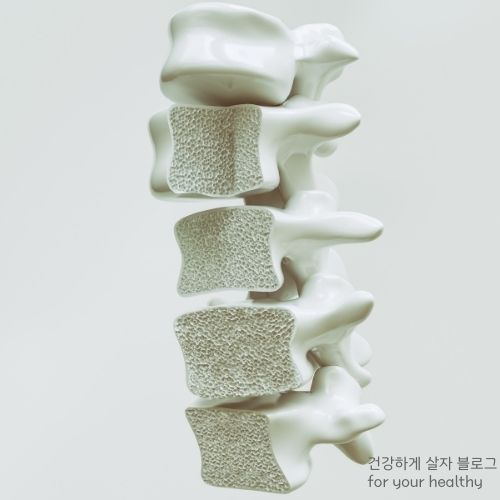 골다공증 주사 언제까지
