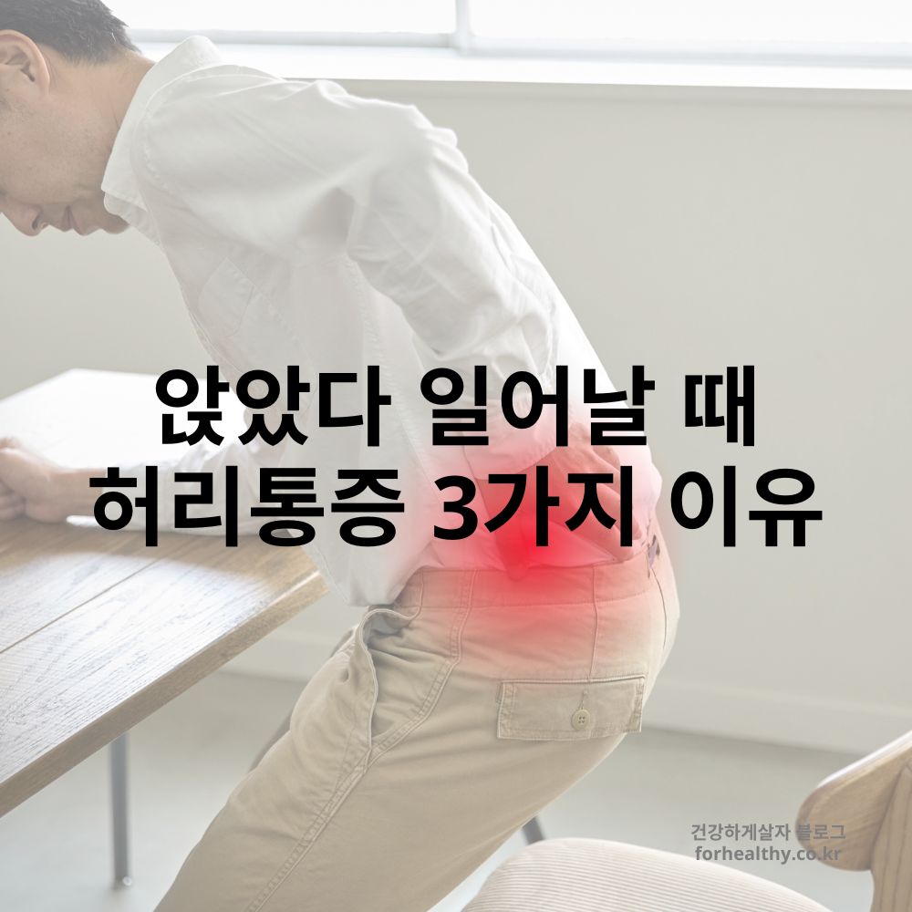 앉았다 일어날 때 허리통증