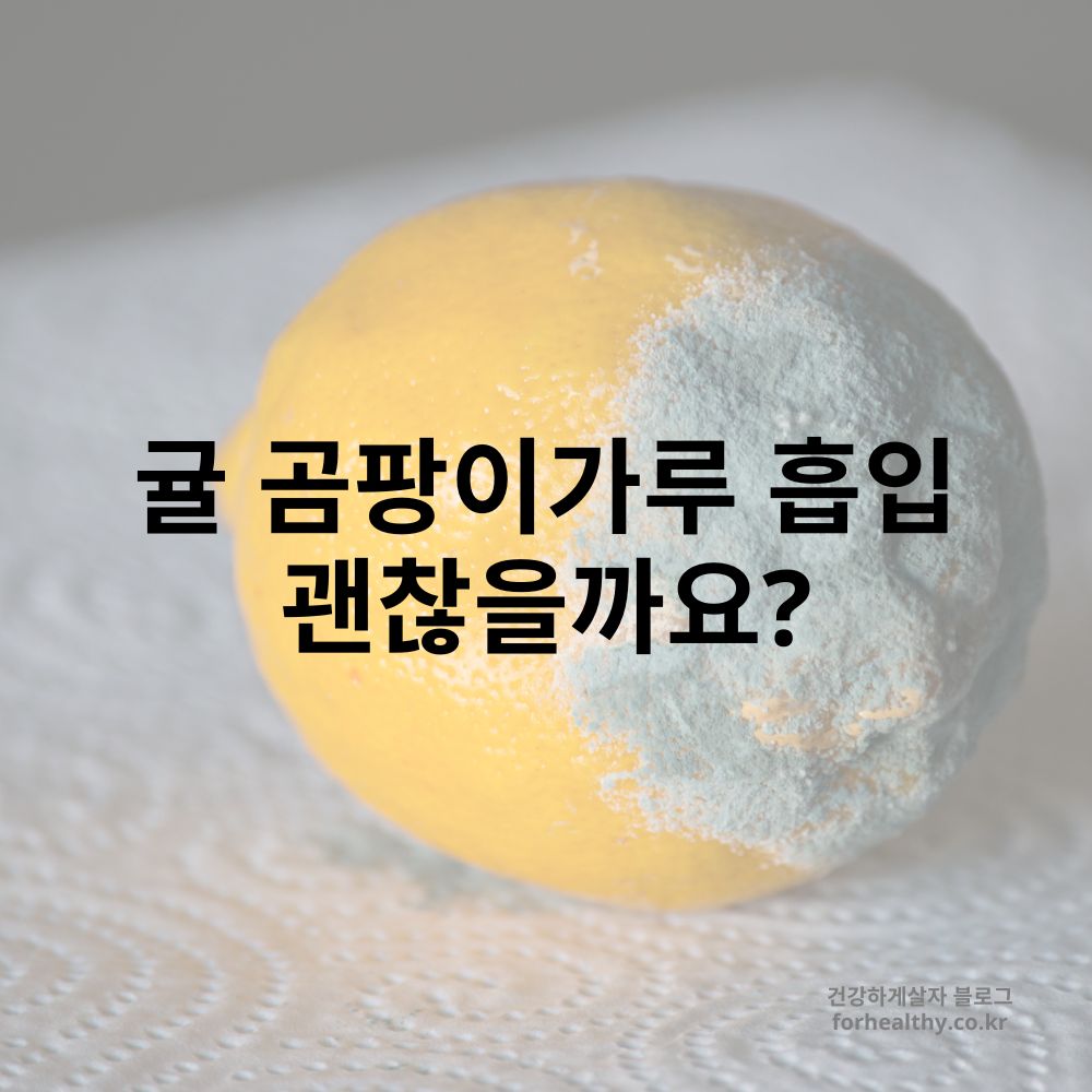 귤 곰팡이가루 흡입