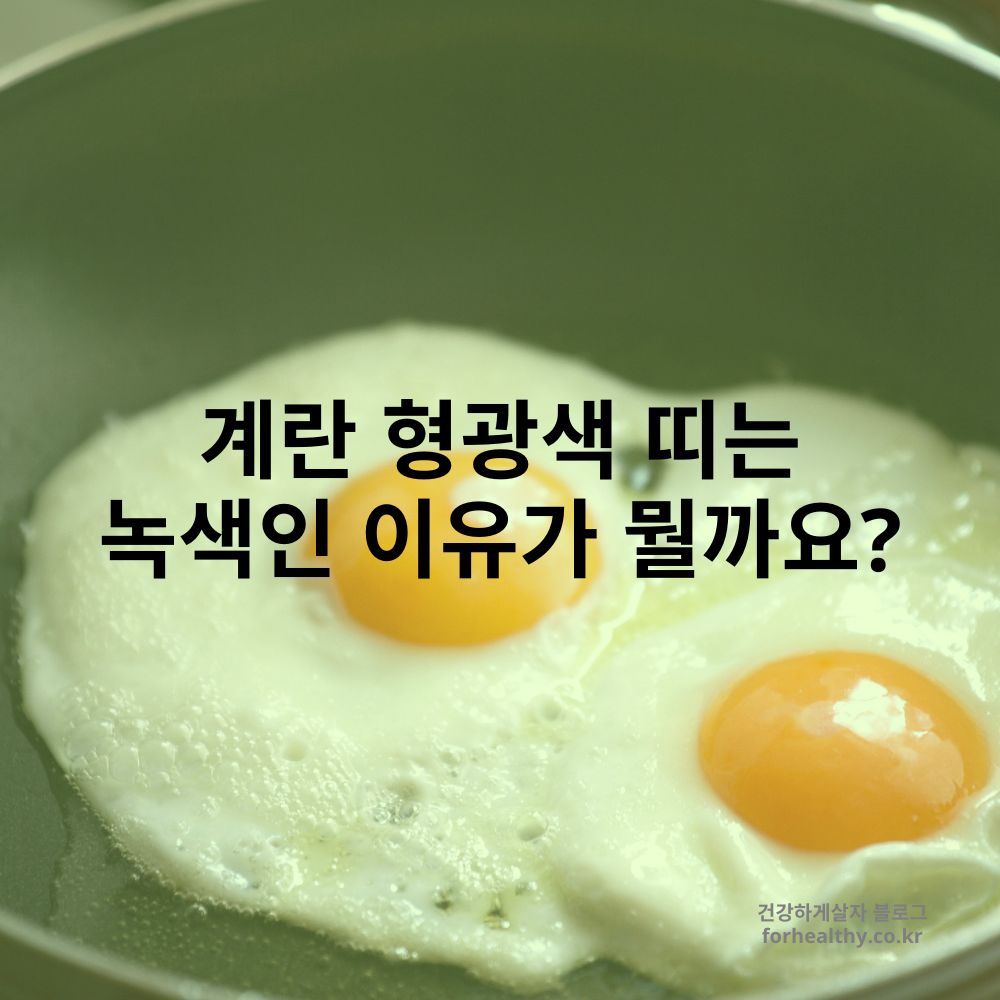 계란 형광색